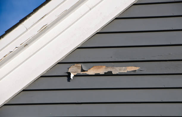 Trusted New Madison, OH Siding Experts